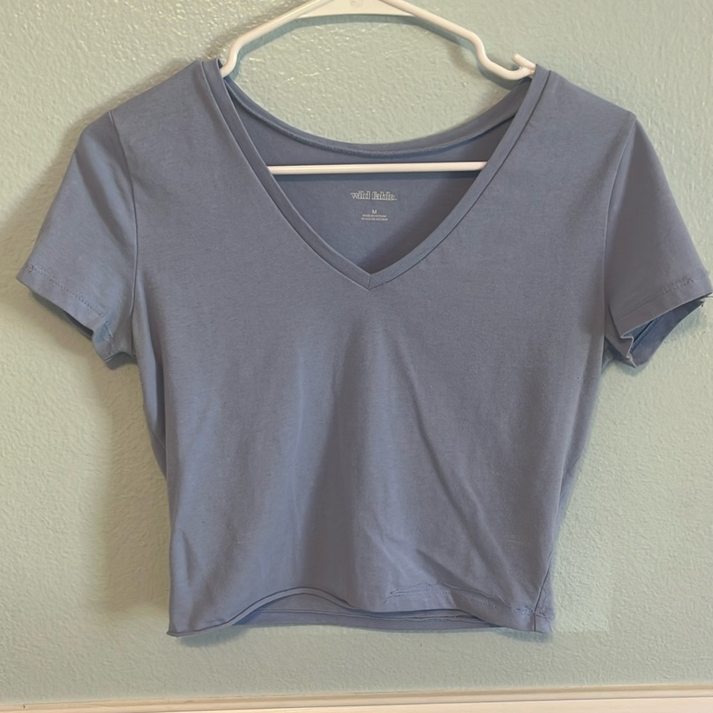 Blue Cropped Tee